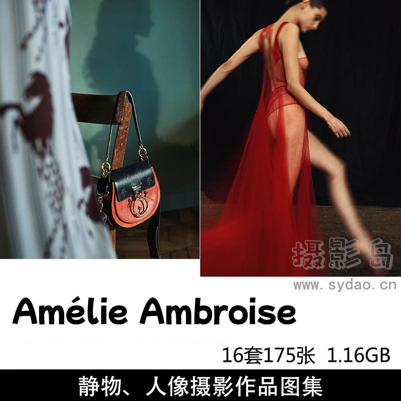 16套175张性冷淡复古怀旧胶片风格人像静物摄影作品欣赏，法国摄影师Amélie Ambroise作品审美提升素材