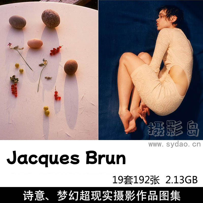 19套192张梦幻超现实静物、花朵、植物、珊瑚油画风格摄影作品图片欣赏，瑞士摄影师Jacques Brun作品