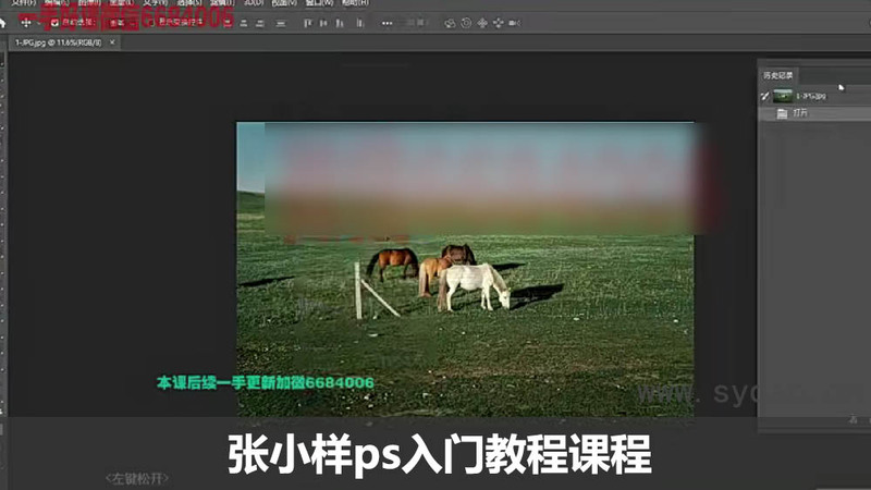 张小样ps入门教程课程，附课程课件素材