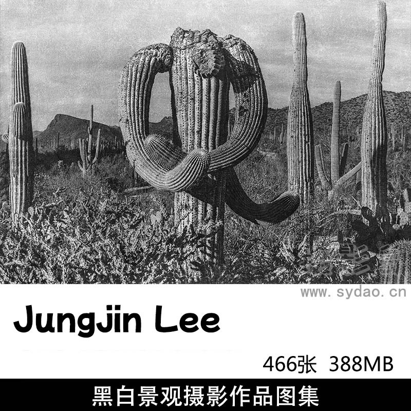 466张黑白景观风光摄影作品图片欣赏，韩国摄影师Jungjin Lee审美提升素材