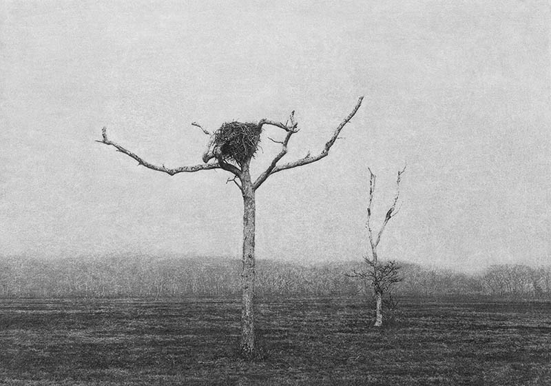 黑白景观风光摄影作品图片欣赏，韩国摄影师Jungjin Lee审美提升素材