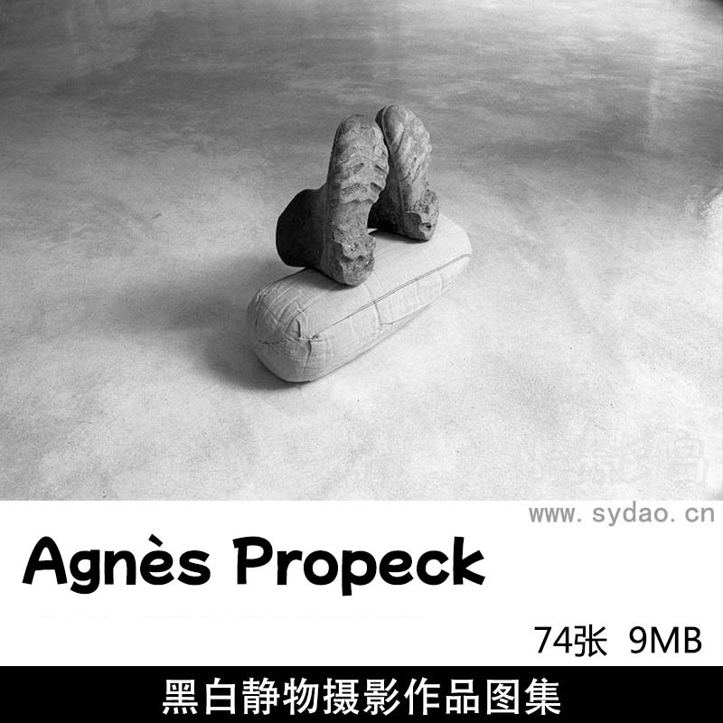 74张黑白静物纪实摄影作品图片欣赏，法国摄影师阿涅斯・普罗佩克审美提升素材