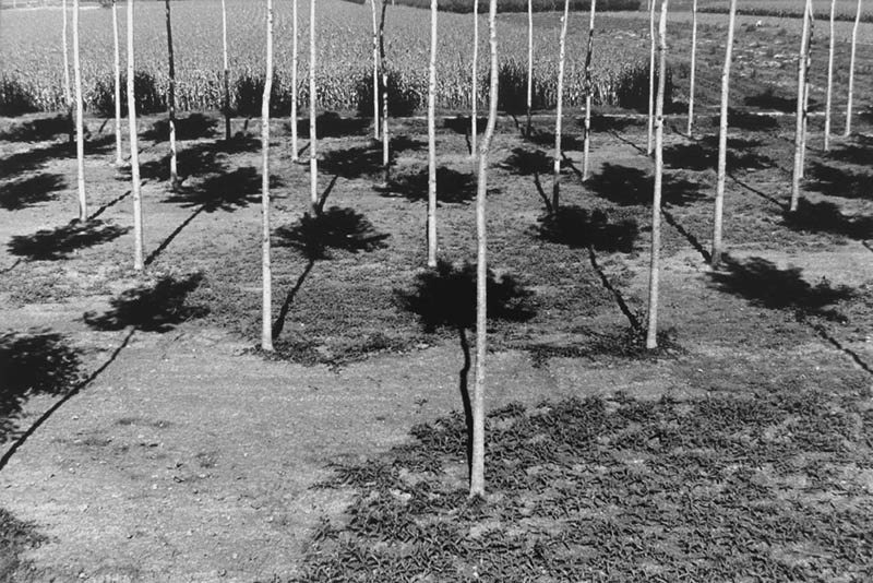 黑白人文纪实、自然景观摄影作品图片欣赏，法国摄影师Bernard Descamps 伯纳德·德尚审美提升素材