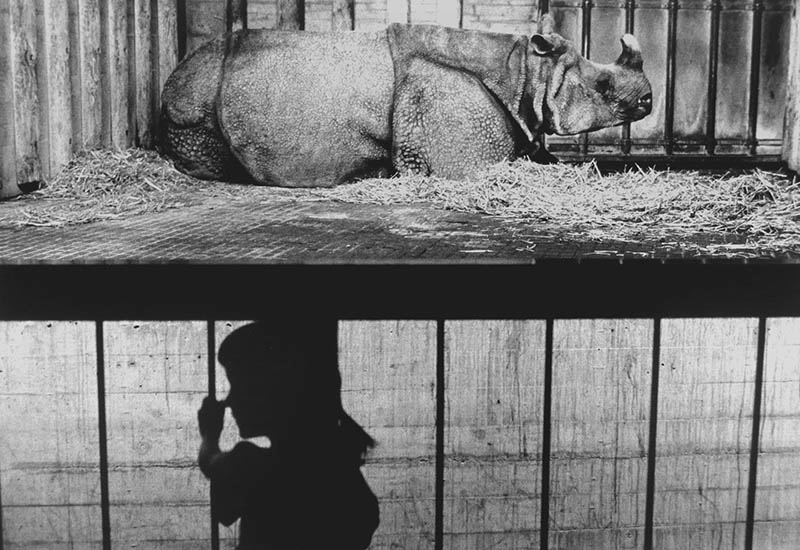 黑白人文纪实、自然景观摄影作品图片欣赏，法国摄影师Bernard Descamps 伯纳德·德尚审美提升素材
