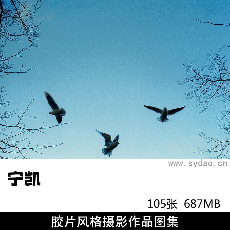 105张复古唯美胶片风格大自然风光摄影作品图片欣赏，摄影师宁凯审美提升素材