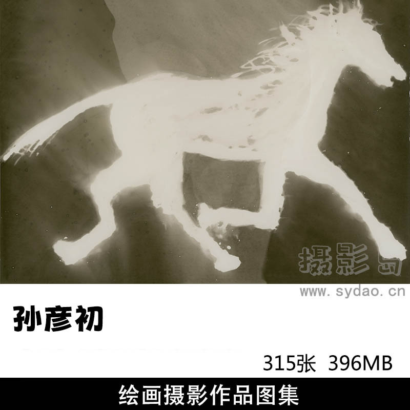 315张探索摄影与绘画的边界摄影作品图片欣赏，摄影师孙彦初审美提升素材