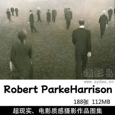 188张超现实主义、电影般叙事性摄影作品图片欣赏，美国摄影师Robert ParkeHarrison摄影审美提升素材