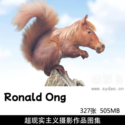 327张超现实主义ps创意合成摄影作品图片欣赏，摄影师Ronald Ong摄影审美提升素材