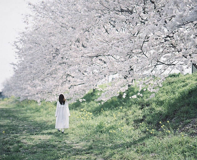 日系胶片小清新摄影作品欣赏，日本摄影师hiro_photograph作品集图片素材