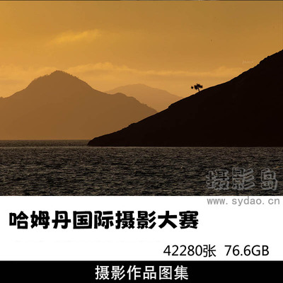 42280张哈姆丹国际摄影大赛摄影作品合集