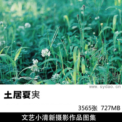 3565張日本風光文藝小清新攝影作品欣賞，日本攝影師土居夏実作品集圖片素材 