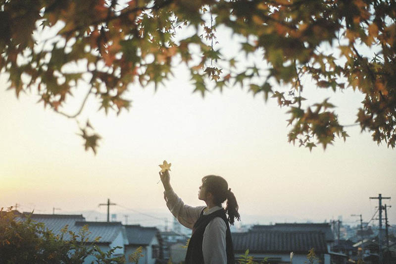 日本风光文艺小清新摄影作品欣赏，日本摄影师土居夏実作品集图片素材