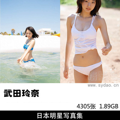 20套4305张日本明星美少女模特武田玲奈性感内衣泳装美女写真集图片