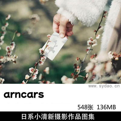 548张文艺风日系小清新摄影作品欣赏，ins日本摄影师arncars作品集图片素材
