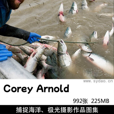 992张鱼类、动物、海洋、极光自然景观摄影作品欣赏，ins阿拉斯加摄影师Corey Arnold作品集图片素材