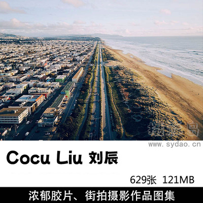 629张浓郁质感胶片风光、纪实城市街拍街头摄影作品欣赏，ins摄影师Cocu Liu（刘辰）作品集图片素材