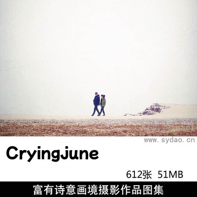 612张复古怀旧淡雅色调、诗意画境摄影作品欣赏，ins韩国摄影师Cryingjune作品集图片素材
