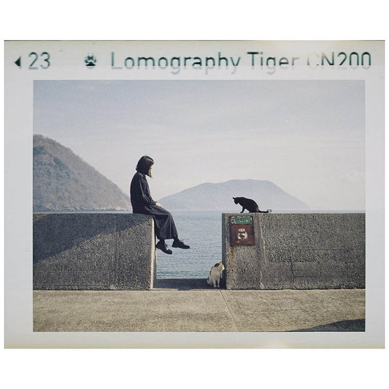 Lomography相机胶片摄影作品欣赏，ins账号@lomography作品集图片素材