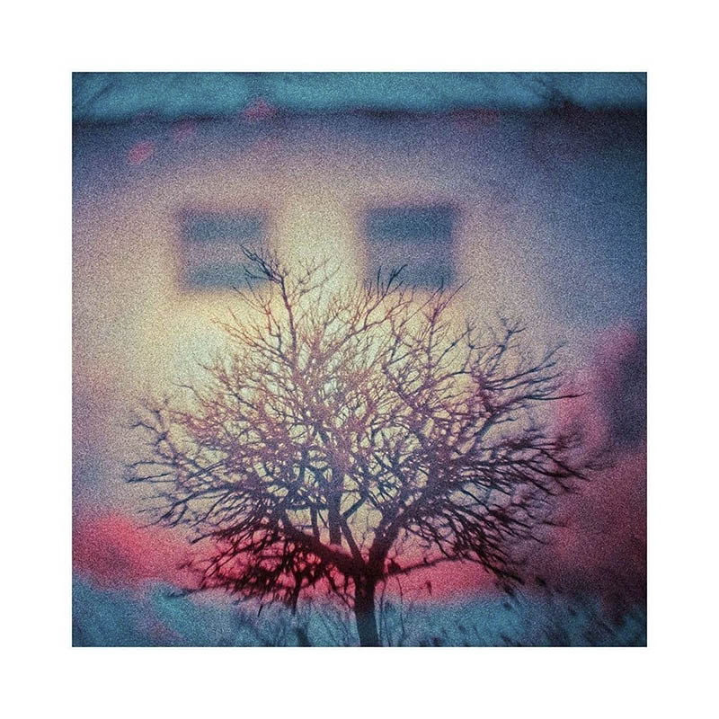 Lomography相机胶片摄影作品欣赏，ins账号@lomography作品集图片素材