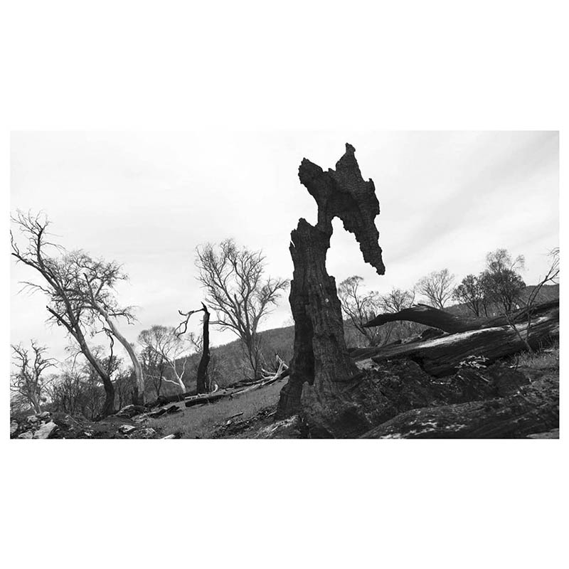 玛格南图片社（Magnum Photos）摄影作品图像欣赏