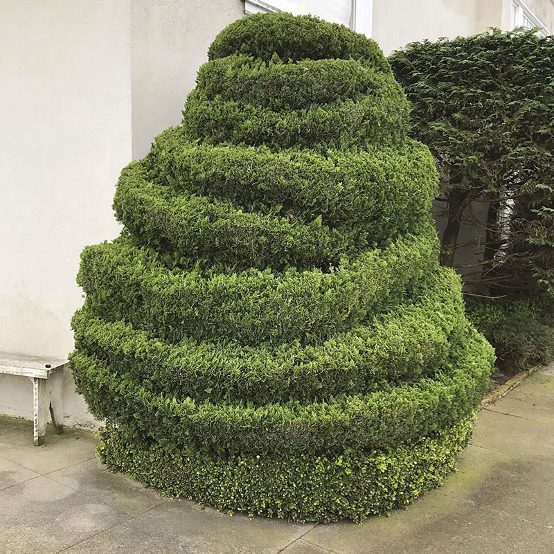 宠物食物餐桌静物树木造型摄影作品欣赏，ins美国摄影师kelsey McClellan作品集图片素材
