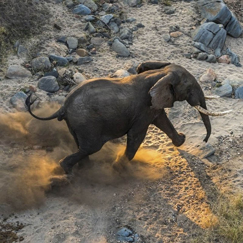 自然景观、野生动物、人文风情摄影作品欣赏，《国家地理》ins 账号natgeo作品集图片素材