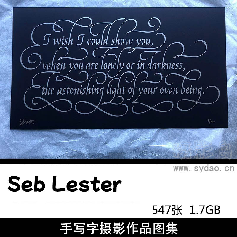 547张英文手写艺术字摄影图片视频欣赏，ins 账号seb_lester作品集图片素材