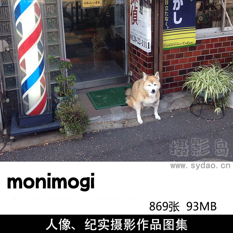 869张日本纪实、明星写真人像肖像摄影作品欣赏，ins摄影师Monika Mogi（@monimogi）作品集图片素材