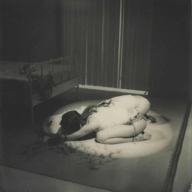 梦幻女性视角少女人像摄影作品欣赏，ins摄影师Petra Collins（佩特拉・柯林斯）作品集图片