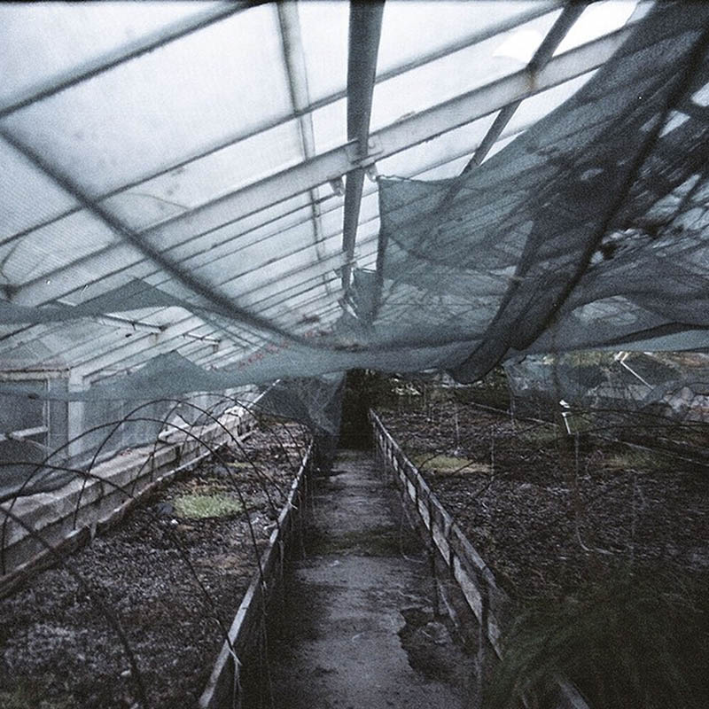 暗调低饱和诗意氛围情绪胶片摄影作品欣赏，Ins摄影师Weronika Maria Izdebska（@ovors）作品集图片