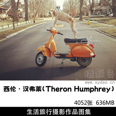 4052张带宠物狗美国各地探险生活旅行摄影作品欣赏，ins摄影师西伦・汉弗莱Theron Humphrey作品集图片素材