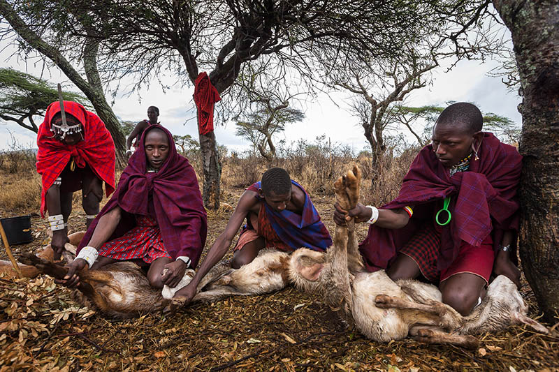 新闻纪实摄影作品图集欣赏，南非摄影师Brent Stirton作品集图片