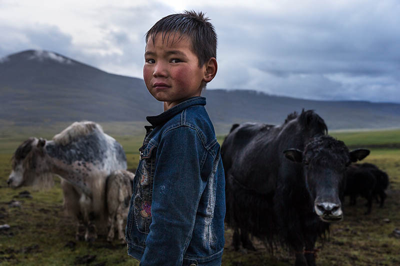 新闻纪实摄影作品图集欣赏，南非摄影师Brent Stirton作品集图片