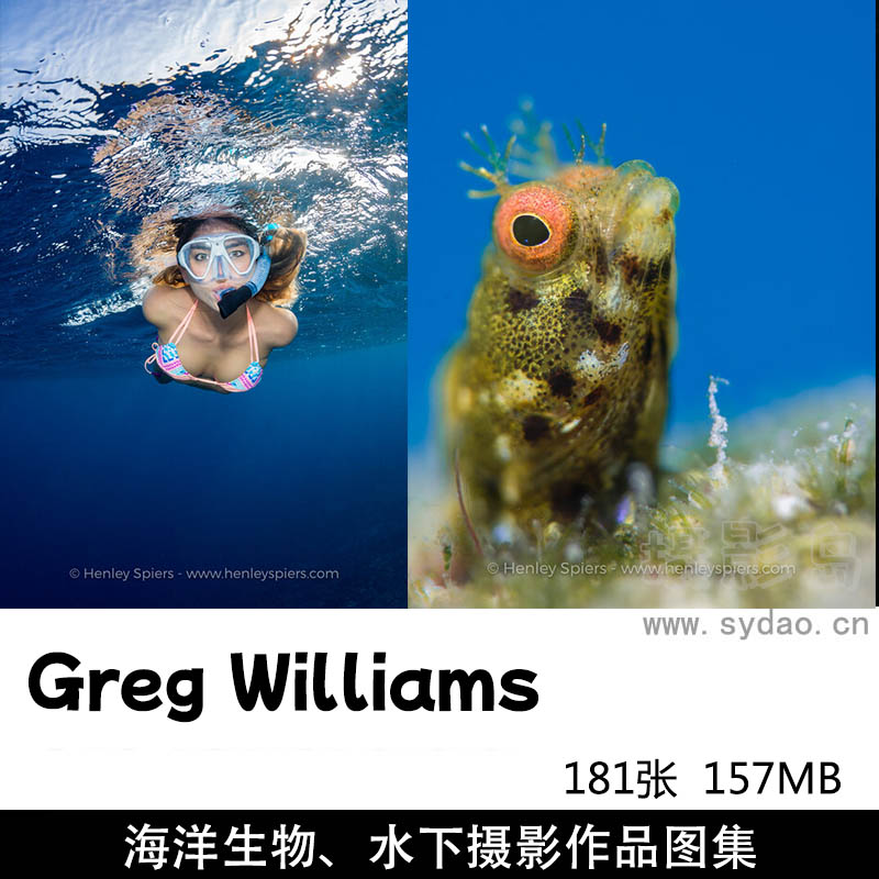 181张潜水水下风光人物生物鱼类动物摄影作品图集欣赏，摄影师Henley Spiers作品集图片素材