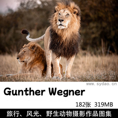 182张野生动物、旅行风光摄影作品图集欣赏，德国摄影师Gunther Wegner作品集图片素材