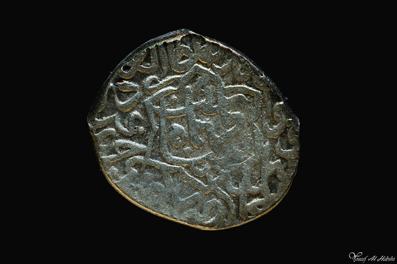 蝴蝶昆虫、肖像家庭摄影作品图集欣赏，阿联酋摄影师Yousef Al Habshi Al Hashmi作品集