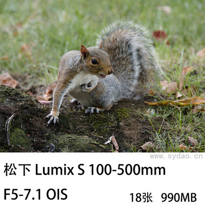 18张松下 Lumix S 100-500mm F5-7.1 OIS长焦镜头样品野生动物风光花草raw原片素材