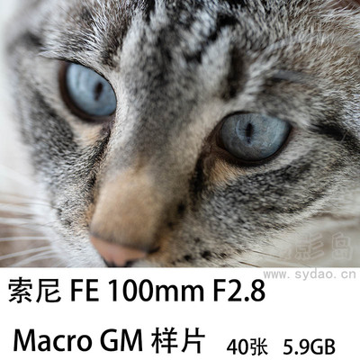 40张索尼百微微距镜头FE 100mm F2.8 Macro GM 样片街拍花草昆虫原片相机大图直出raw素材