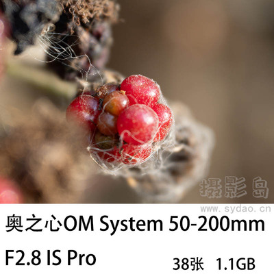 38张奥之心OM System M.ZUIKO DIGITAL ED 50-200mm F2.8 IS Pro镜头raw长焦打鸟原片素材