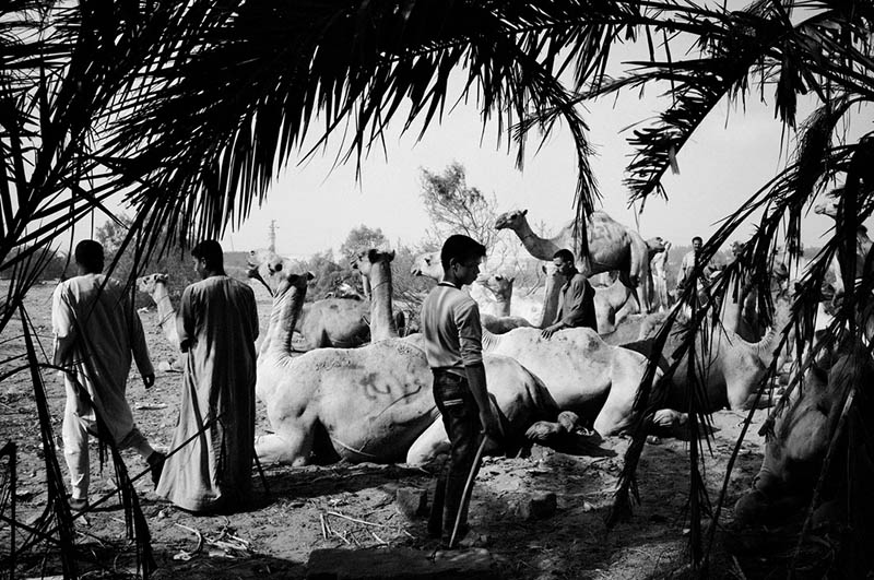 战争纪实新闻摄影作品图集欣赏，秘鲁摄影师Moises Saman（莫伊塞斯・萨曼）作品集