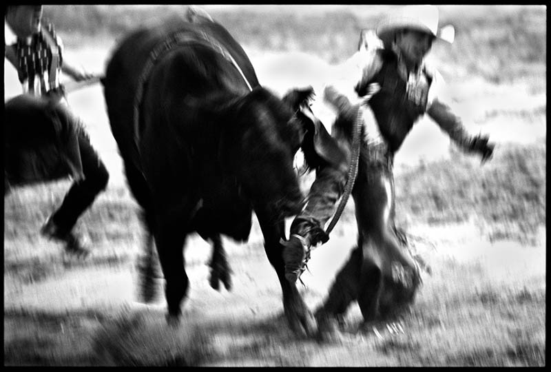 胶片纪实摄影作品图集欣赏,玛格南摄影师Paul Fusco(保罗・福斯克)作品集