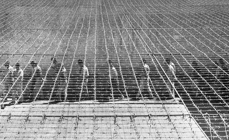 战争纪实新闻摄影作品图集欣赏,以色摄影师Micha Bar-Am作品集