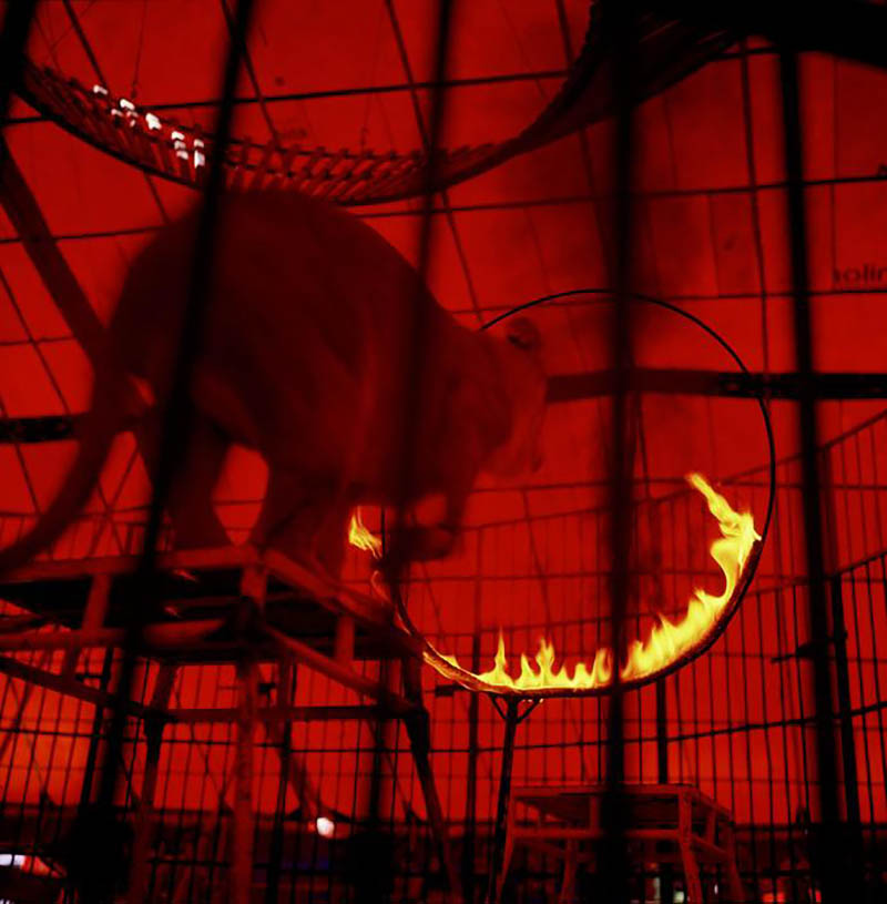 浓郁色彩油画感极强摄影作品图集欣赏，巴西摄影师Miguel Rio Branco（米格尔・里奥・布兰科）