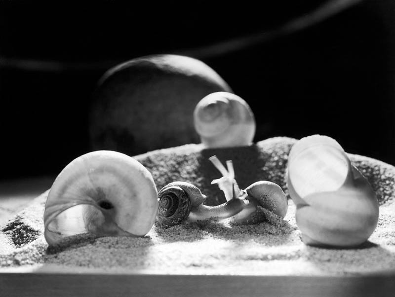 黑白纪实摄影作品图集欣赏,瑞士摄影师Werner Bischof(沃纳・比肖夫)作品集