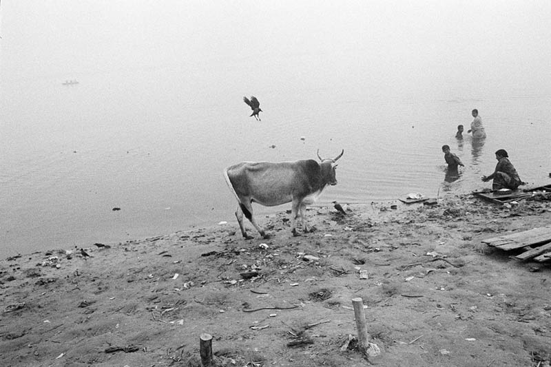 印度纪实摄影作品图集欣赏,印度摄影师Sohrab Hura(苏赫拉布・胡拉)作品集图