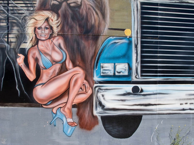 人物肖像纪实摄影作品图集欣赏，美国摄影师Susan Meiselas作品集