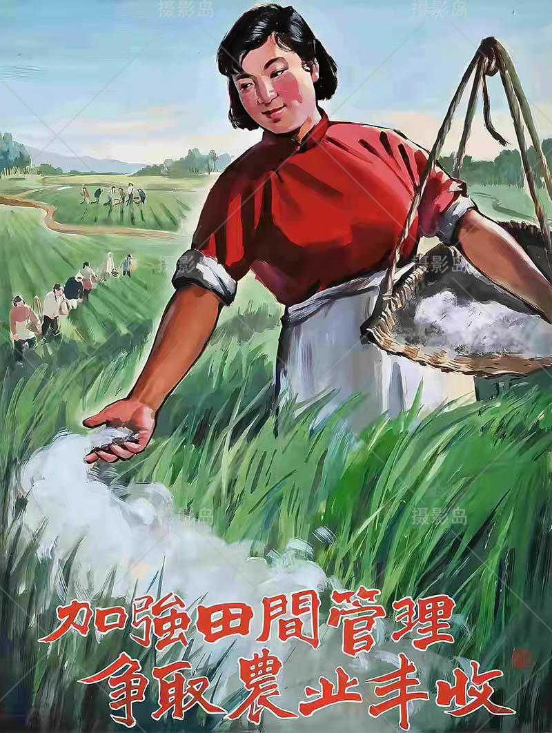 五六十年代建国时期宣传语录宣传画报墙画