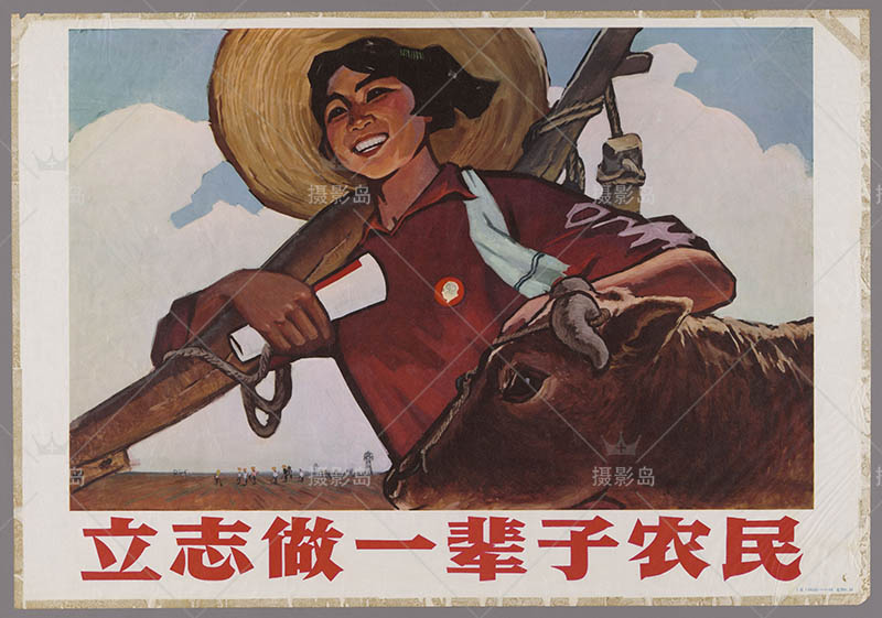 六七十年代精选宣传画大全、墙壁画、宣传标语、生产宣传画大全