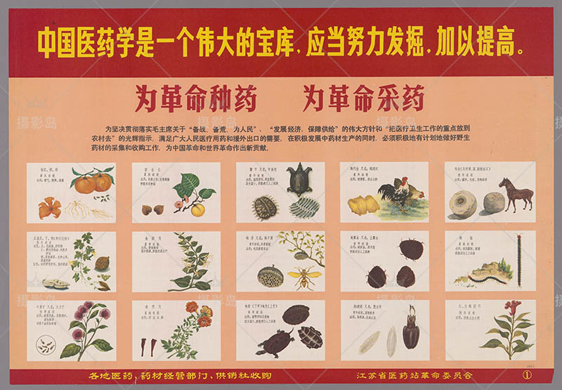 六七十年代精选宣传画大全、墙壁画、宣传标语、生产宣传画大全